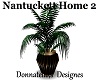 nantuckett 2 plant