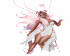 Fairy Wings Pinks