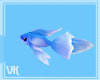 ᘎК~Blue Fish