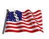 US Flag -Animated