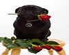 Pug With Roses Pic