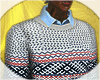 DV' Pattrn Sweater 2