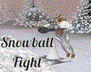 Snowball FIght