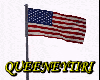 QN*USA Animated Flag