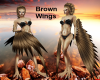 [ML]Brown Wings