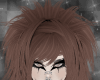 ✩ brown floof