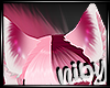 :N:SkinkXO Ears2::