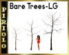 Bare Tree-LG