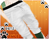 [Pets] Frankie | shorts