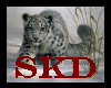 (SK)Snow Leopard Picture