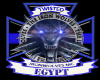 twi m security egypt cut