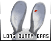 [B] Gray Long Bunny Ears