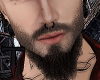 T. Beard Black Long