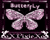 2 butterflys