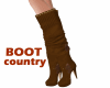 Country sexy boot