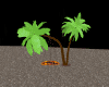 {P}palms beach+poses