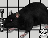 空 Mouse Black 空