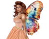 Gypsy butterfly wings 01
