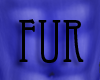 SR| Suhgao Blue Fur