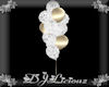 DJL-Balloons Big WG Lace