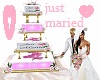 just maried /cake/orchid