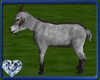 SH Goat Grey