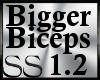 *SS Biceps Scaler 1.2