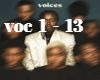 Voices Tusse