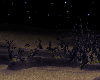 Desert Night Stars
