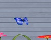 Blue Animated Butterfly