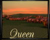 !Q Country Scenery Addon