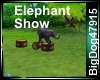 [BD] Elephant Show