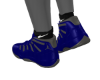 v. Royal Gray 11's