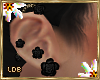 Black Rose Earrings R