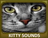 Kitty Sounds