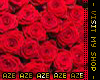 Rose Background