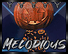 M♪Orange Pumpkin Buddy