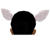 Pink Cow Ears