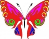 *YELE* BUTTERFLY TATTOO