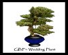GBF~Wedding Plant