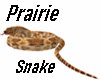 Prairie Snake