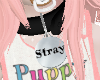 Stray Collar