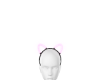 neon cat ears (drv)