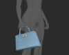 ☆ Light Blue Birk