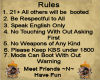 ~SD~ 21+Rules C.