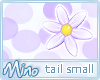 Purple Tail Daisy Small