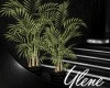 :YL:Special/E Plant