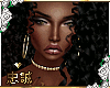 !C D'aja T/P v4 Coffee