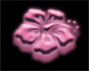 DM$ Pink Flower