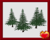 10 Pine Trees